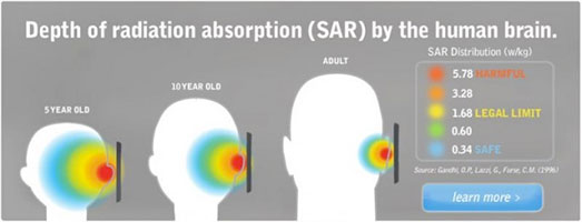 depth of Radiation Absorption (SAR) by the human brain, by age