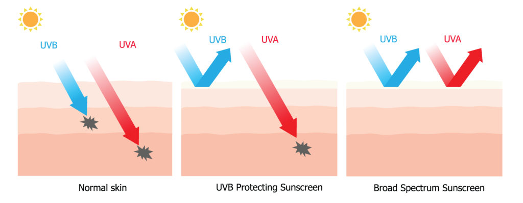 الأشعة فوق البنفسجية الشمسية (uva uvb uvc)