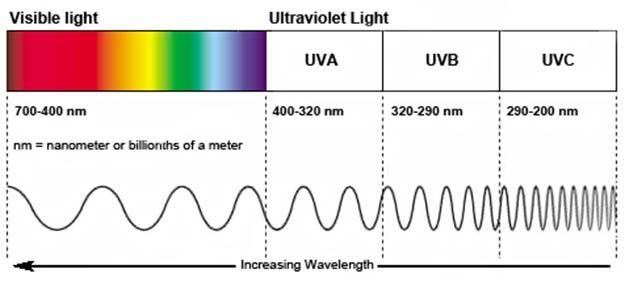 Длина волны 400 нм. Спектр UVB. UVA UVB UVC лучи. Ультрафиолет UVA UVB UVC. UVC спектр.